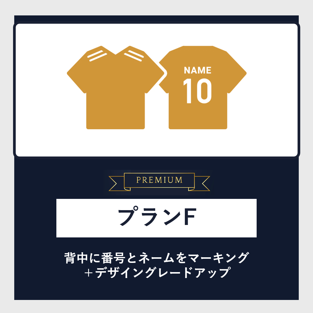 【PREMIUM】プランF