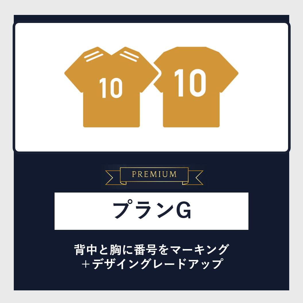 【PREMIUM】プランG