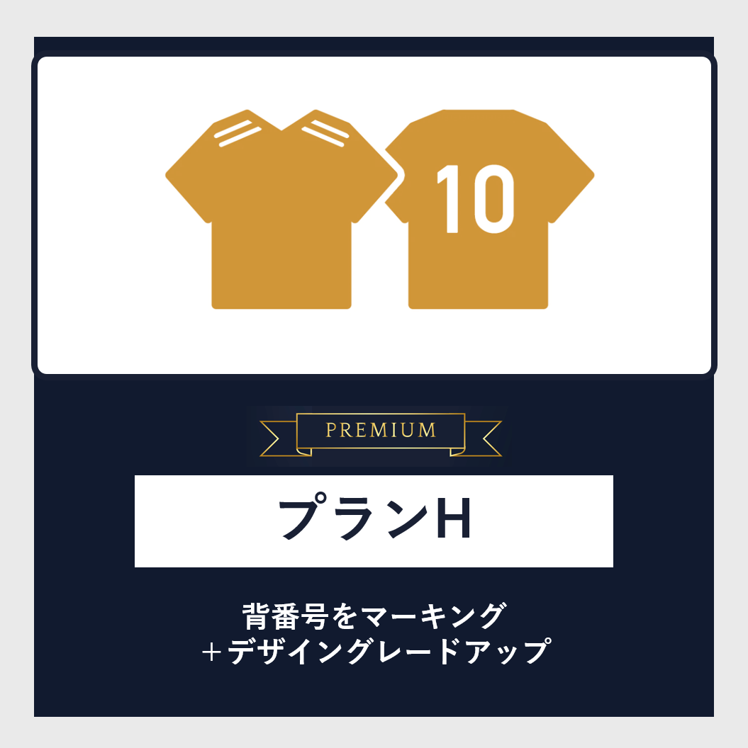 【PREMIUM】プランH