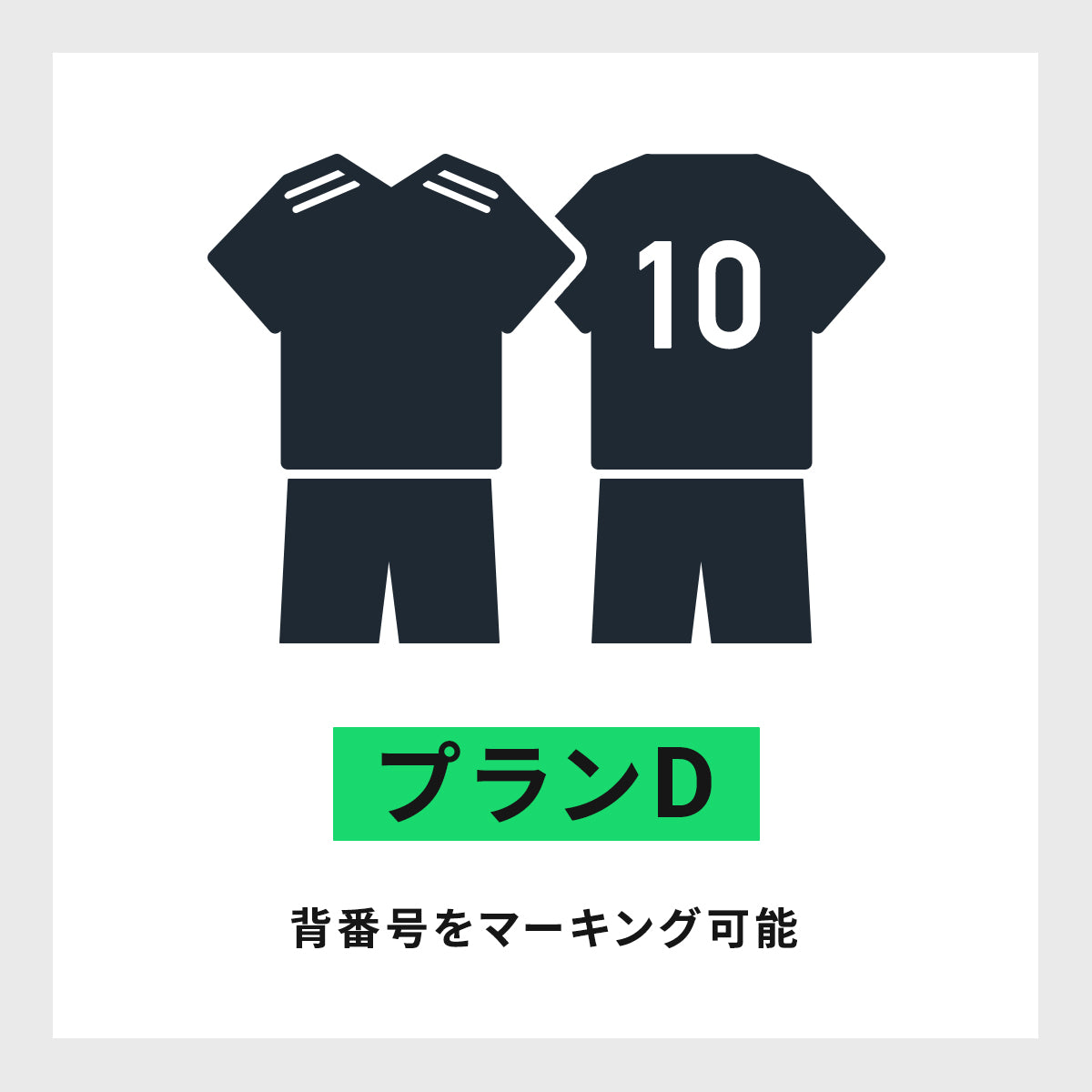 【STANDARD】プランD