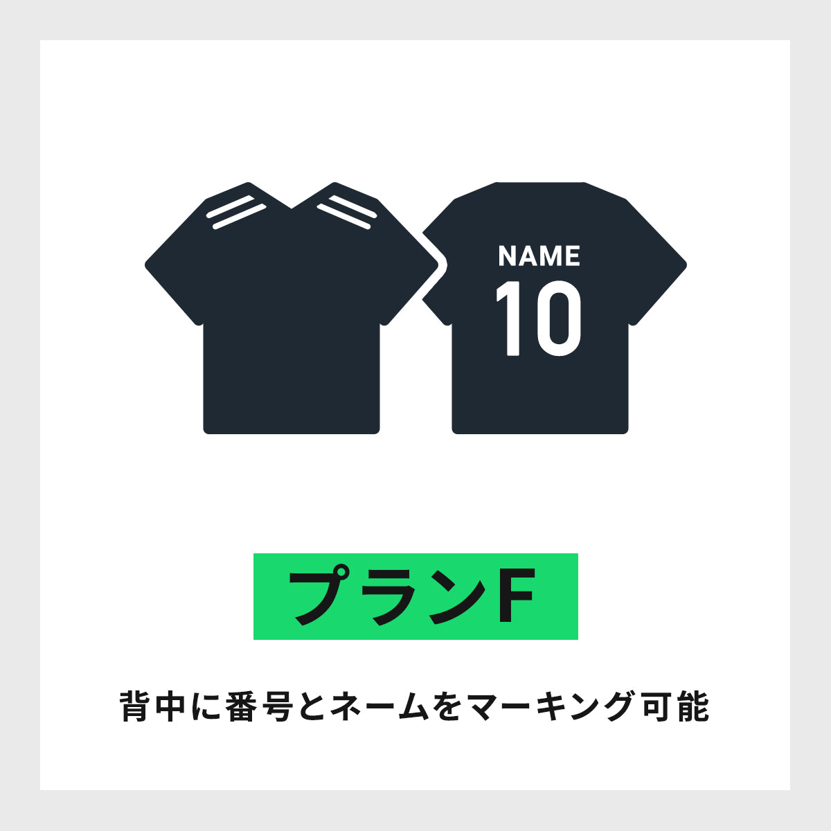 【STANDARD】プランF